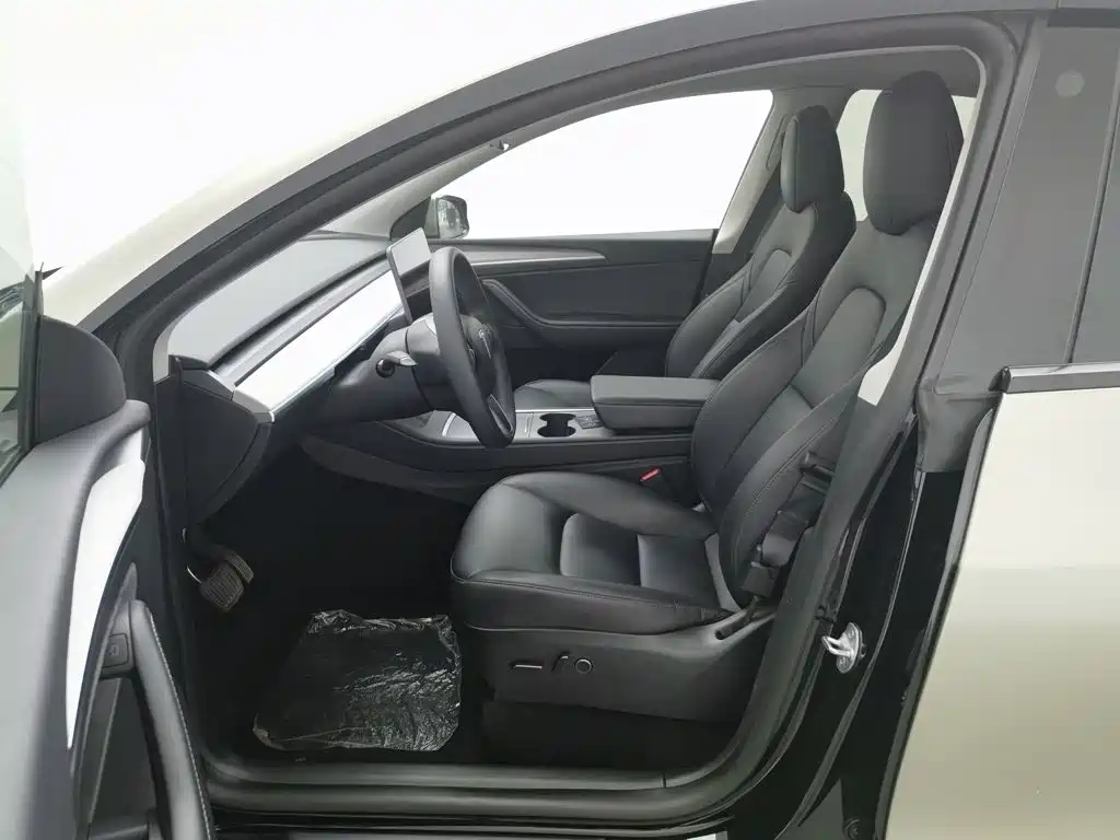 Tesla Model Y — миниатюра 10