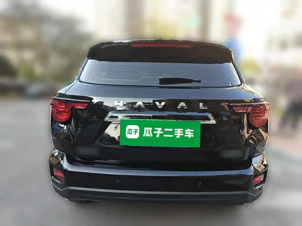Haval Big Dog PLUS — миниатюра 5