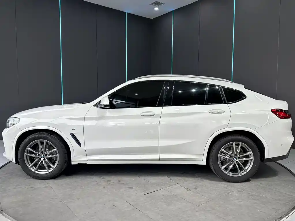 BMW X4 2019 xDrive25i M Sport