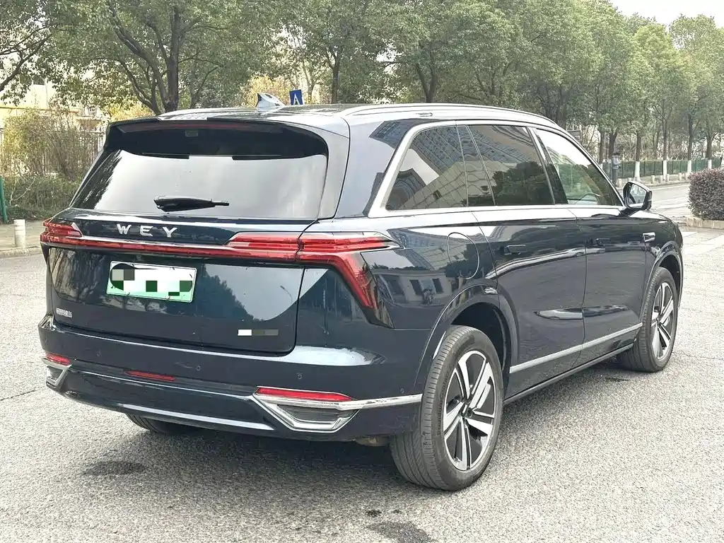 WEI PAI WEI BRAND BLUE MOUNTAIN