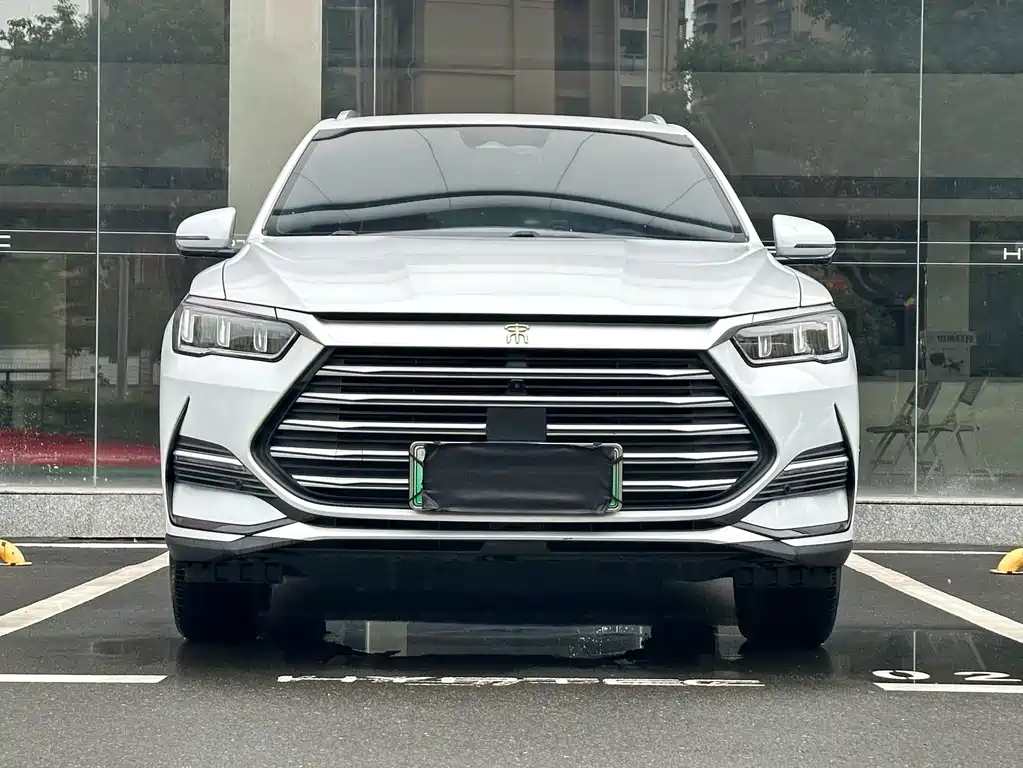 BYD Pro New Energy — миниатюра 3