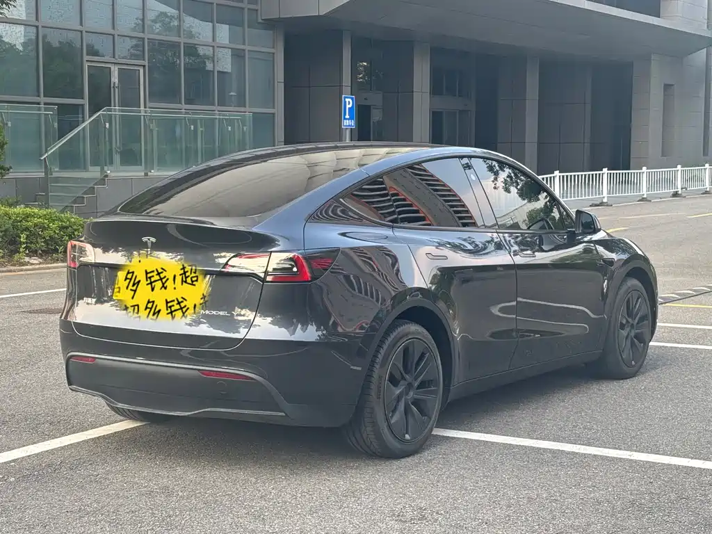 Tesla Model Y — миниатюра 21