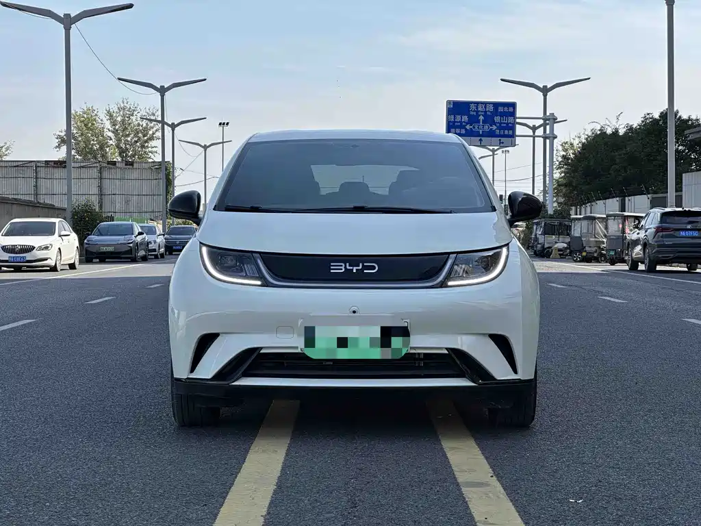 BYD Dolphin — миниатюра 2