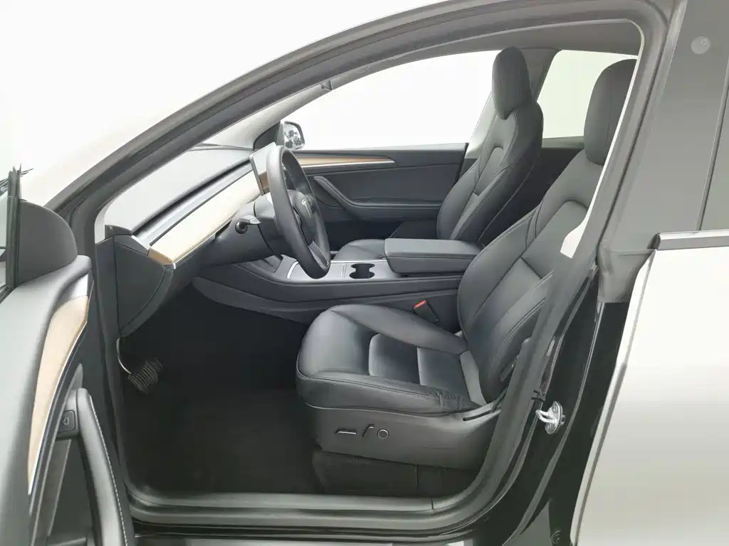 Tesla Model Y — миниатюра 10