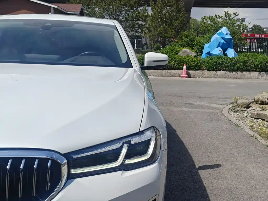 BMW 5 Series 5 2021 530Li Premium Luxury