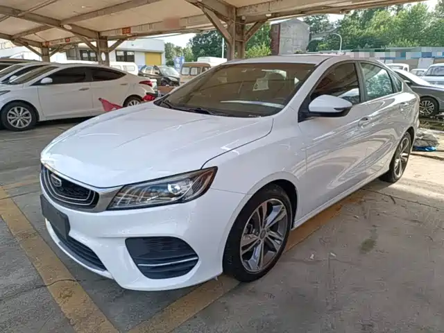 2020 Geely Binrui