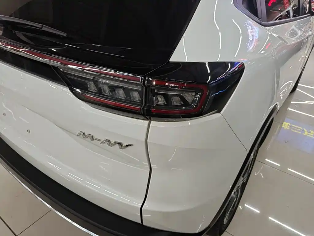 CIIMO M-NV — миниатюра 19