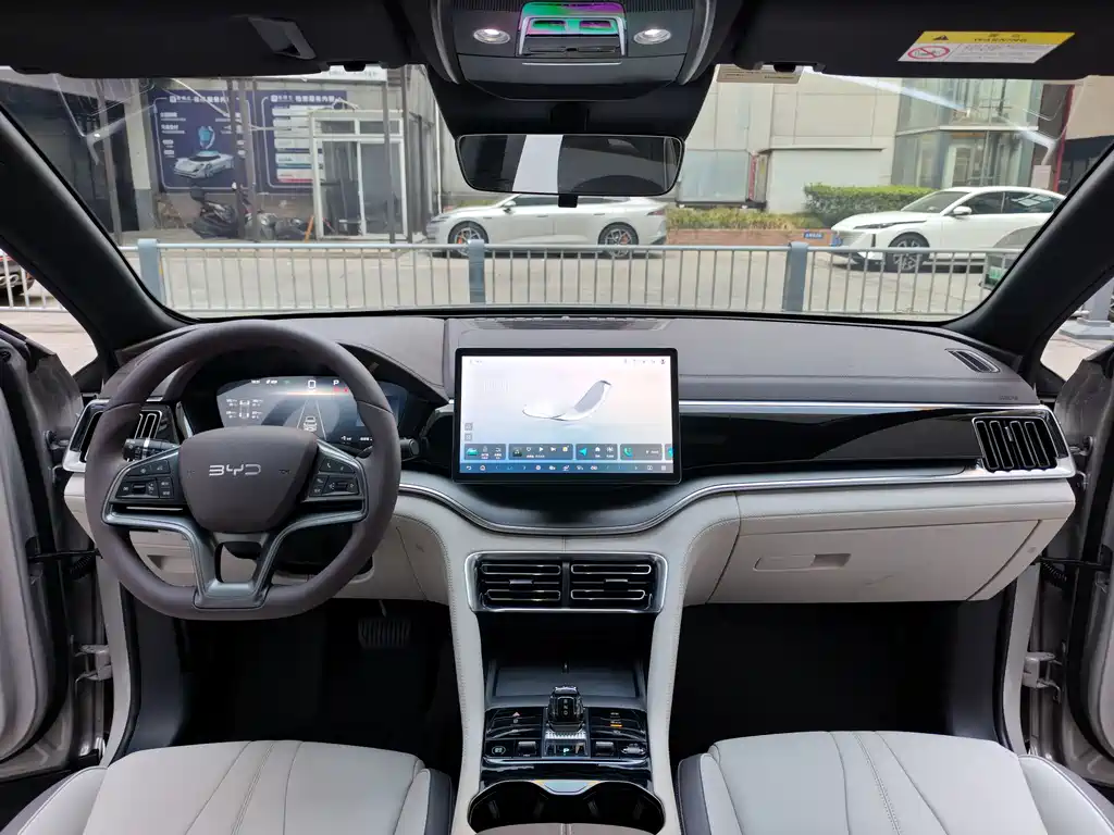BYD PLUS New Energy — миниатюра 8