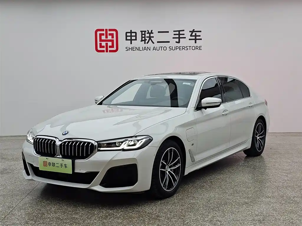 BMW 5 Series New Energy 2021