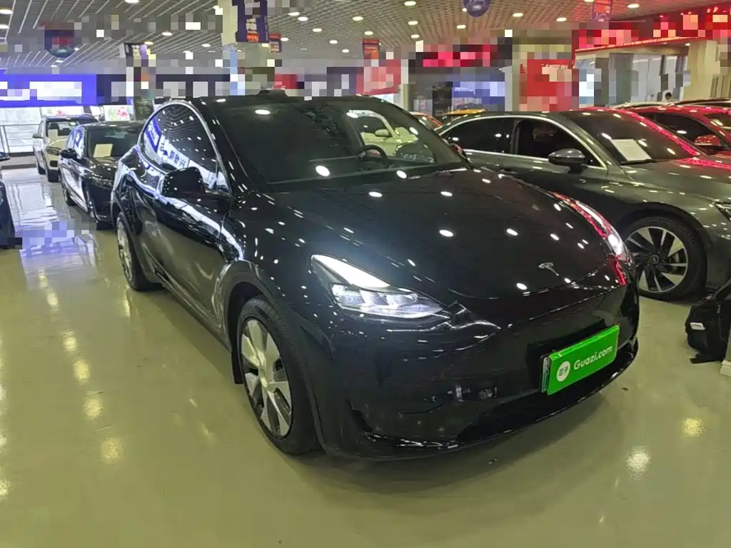 Tesla Model Y — миниатюра 4