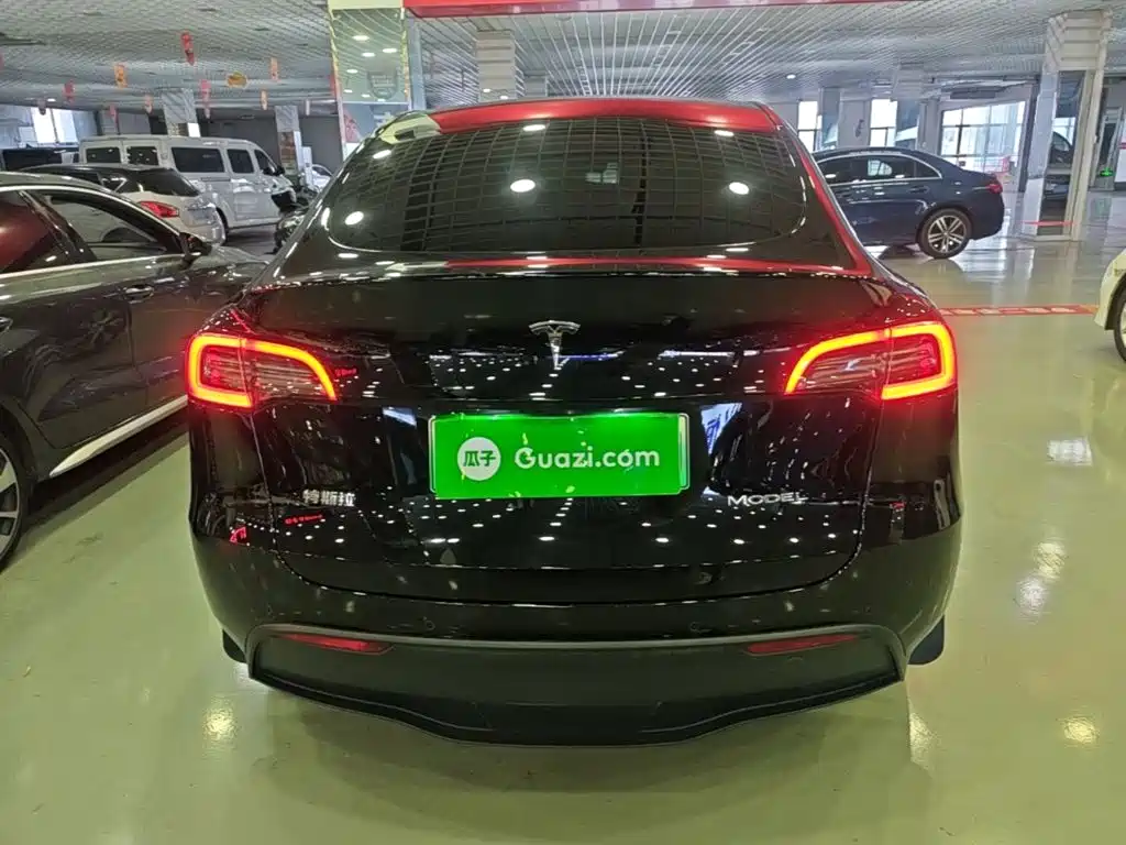 Tesla Model Y — миниатюра 6