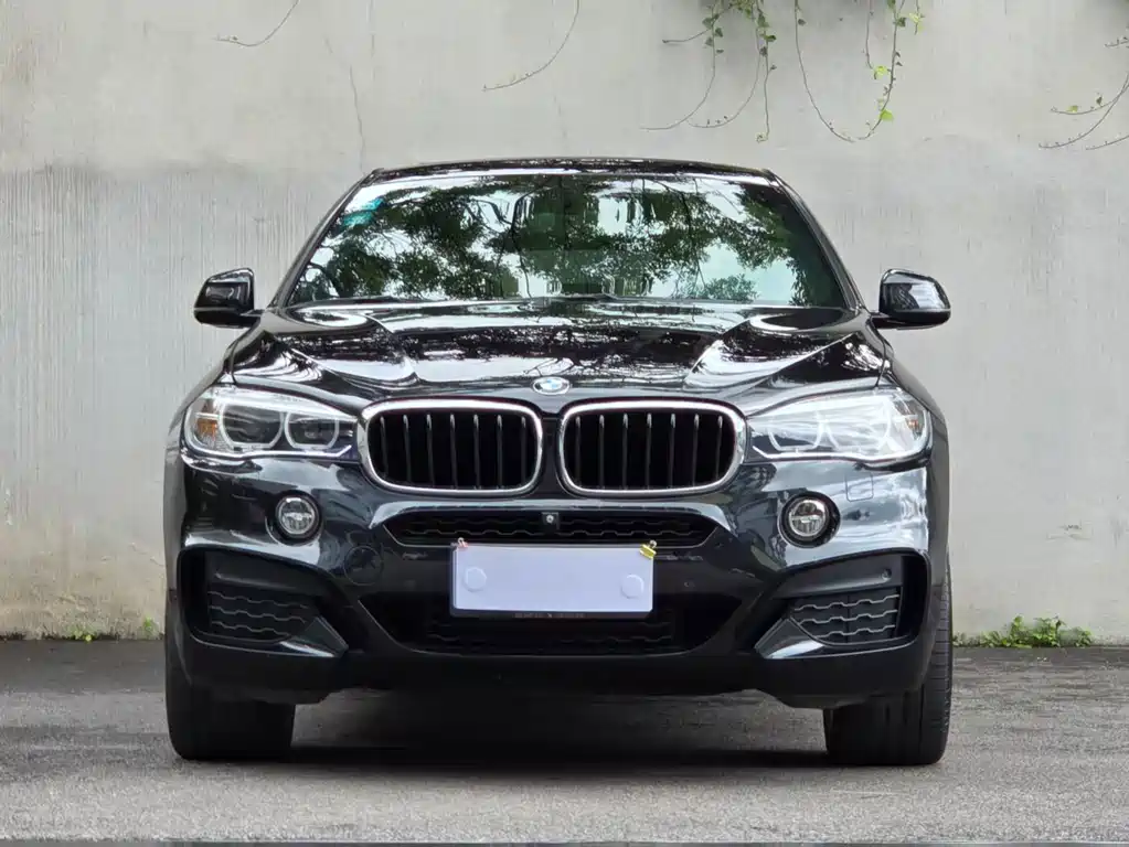 BMW X6 — миниатюра 2