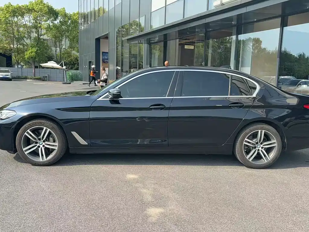BMW 5 Series 5 2021 530Li Lead Luxury