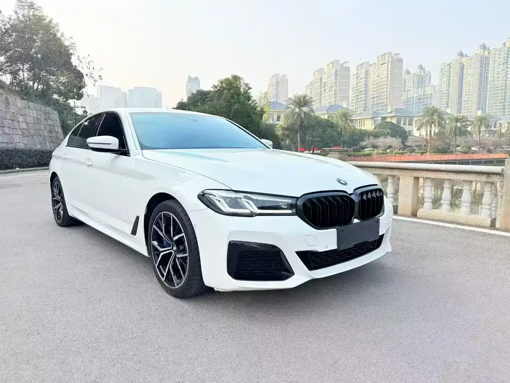 BMW 5 Series (Import) Facelift 530i M Sport Package, фото 3