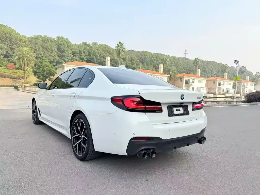 BMW 5 Series (Import) Facelift 530i M Sport Package, фото 4