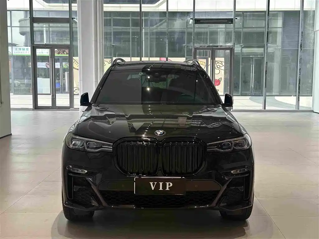 BMW X7 — миниатюра 2