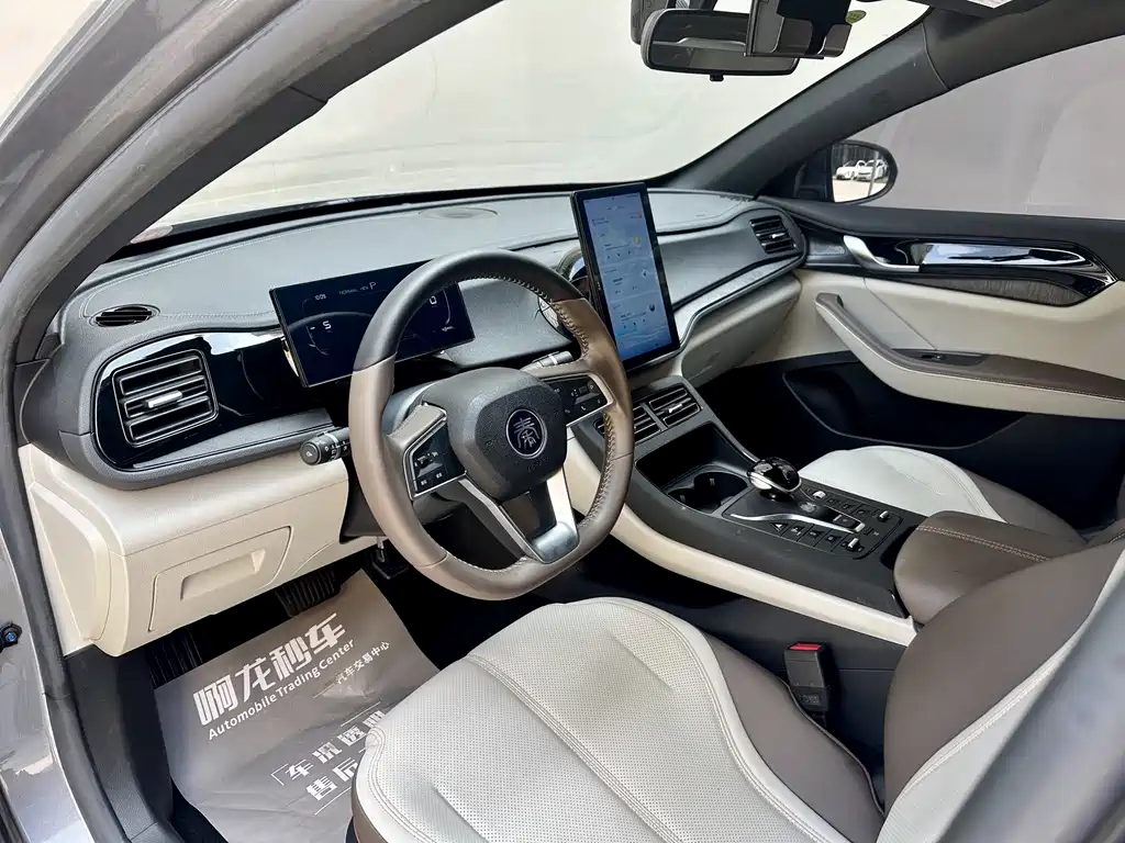 BYD Qin Plus PLUS 2024 DM-i 55KM Lead