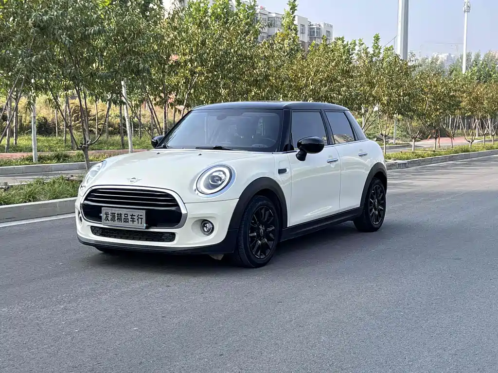 Mini Mini 2021