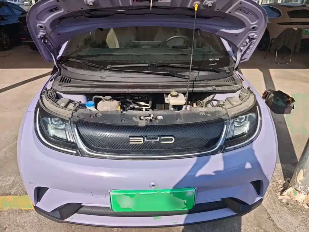 BYD Dolphin — миниатюра 20