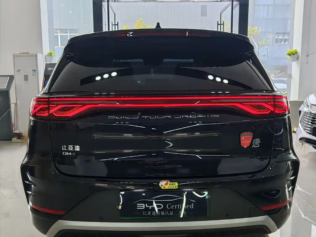 BYD Tang New Energy — миниатюра 4