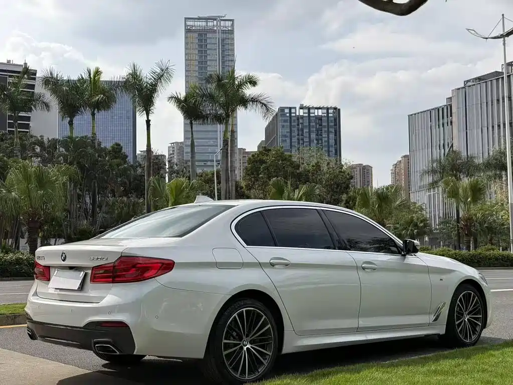 BMW 5 Series 5 2020 530Li Lead M Sport