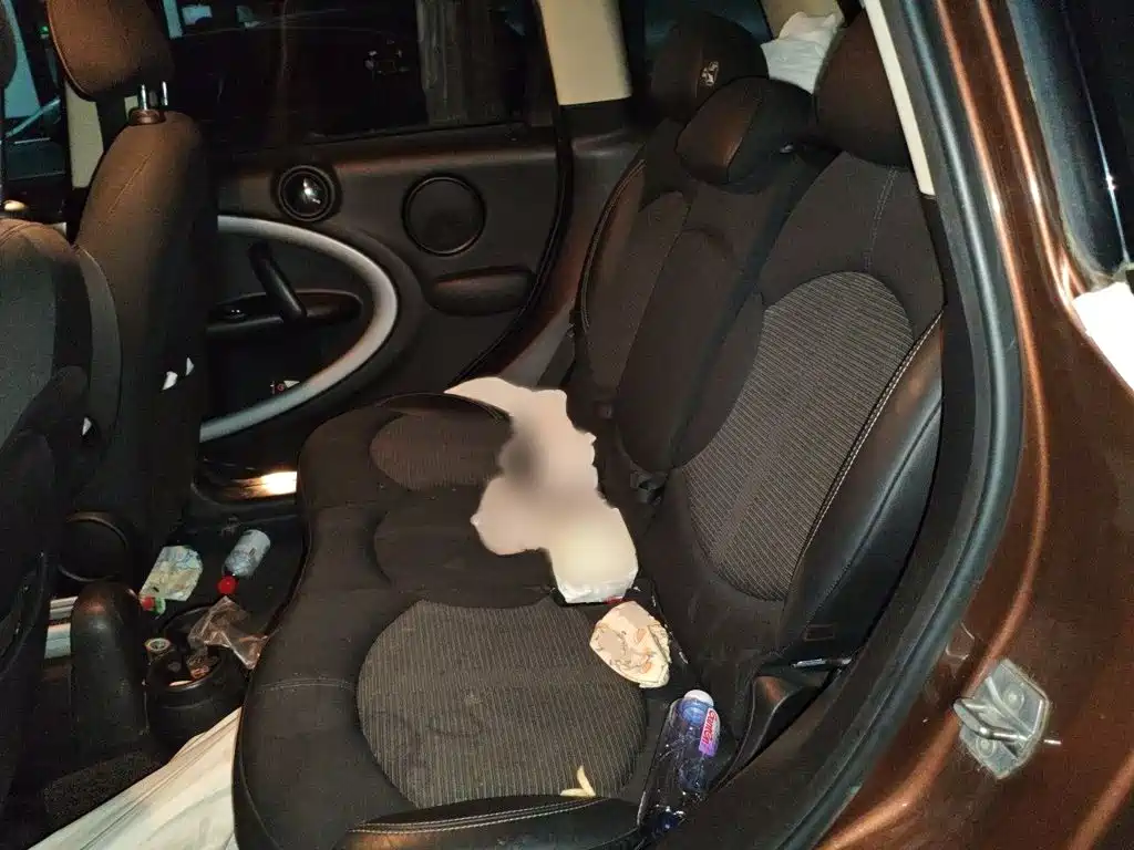 MINI Mini Countryman — миниатюра 15
