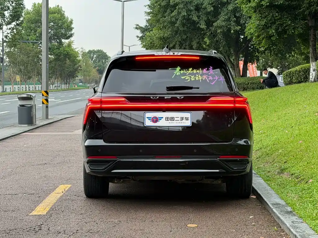 Wey Wey Lanshan — миниатюра 5