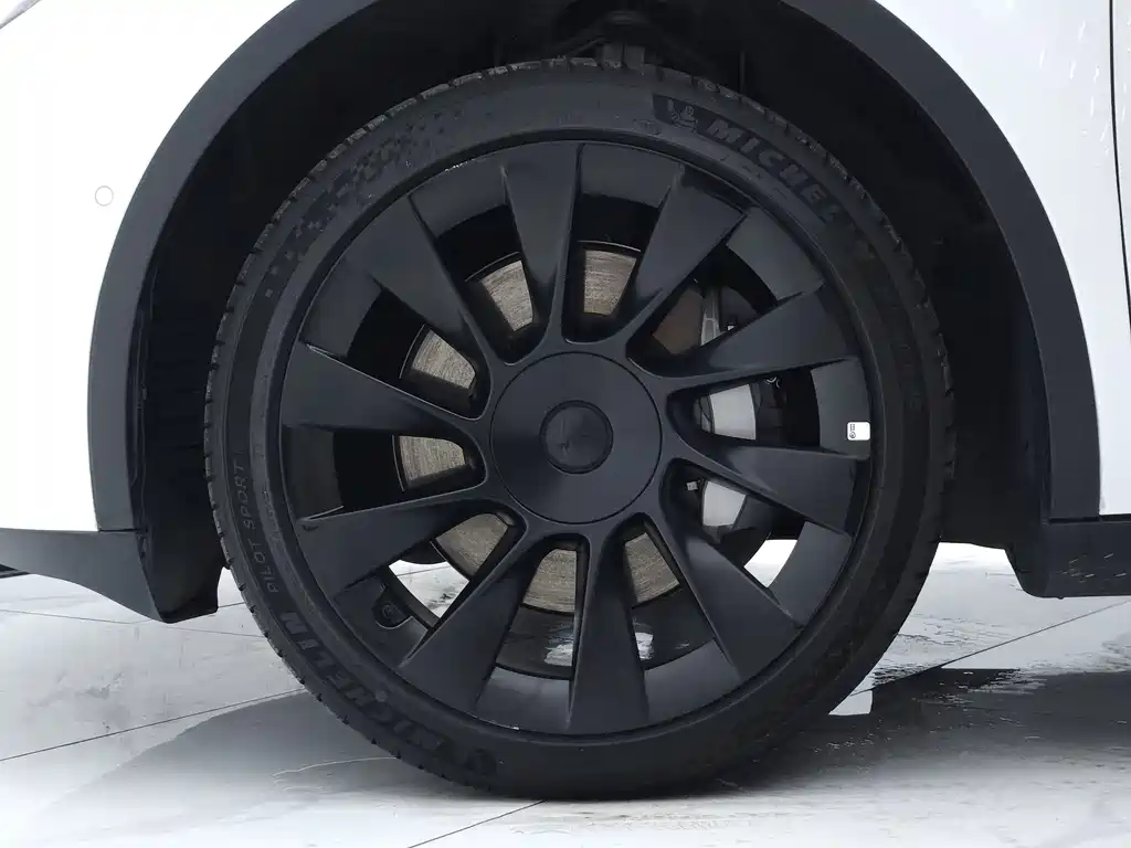 Tesla Model Y — миниатюра 18