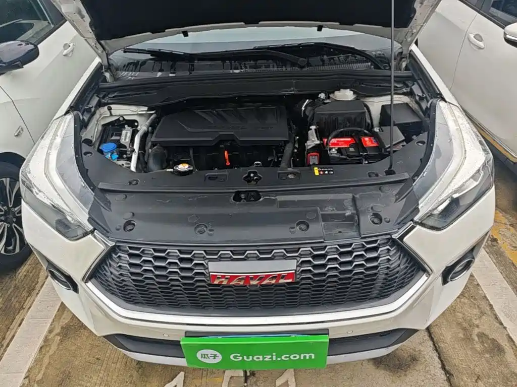 Haval H6 Coupe — миниатюра 20