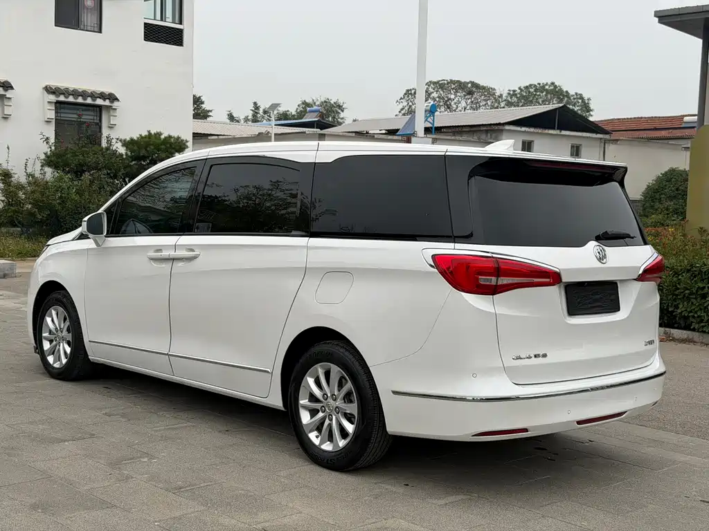 Buick GL8 — миниатюра 6