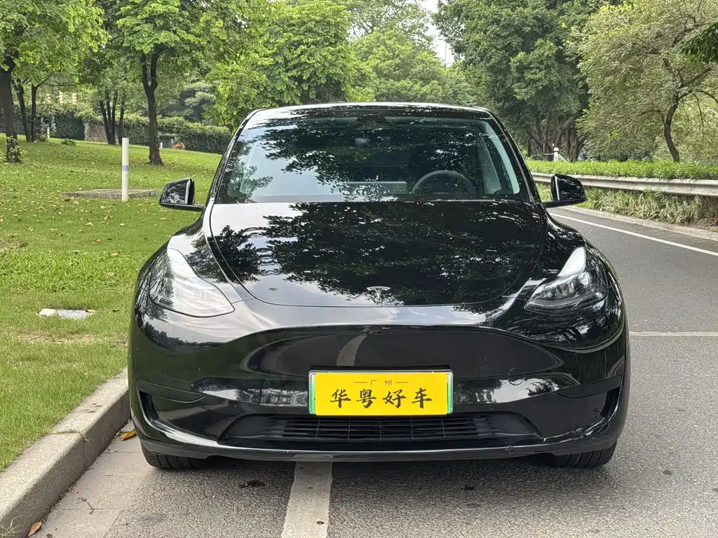 Tesla Model Y — миниатюра 2