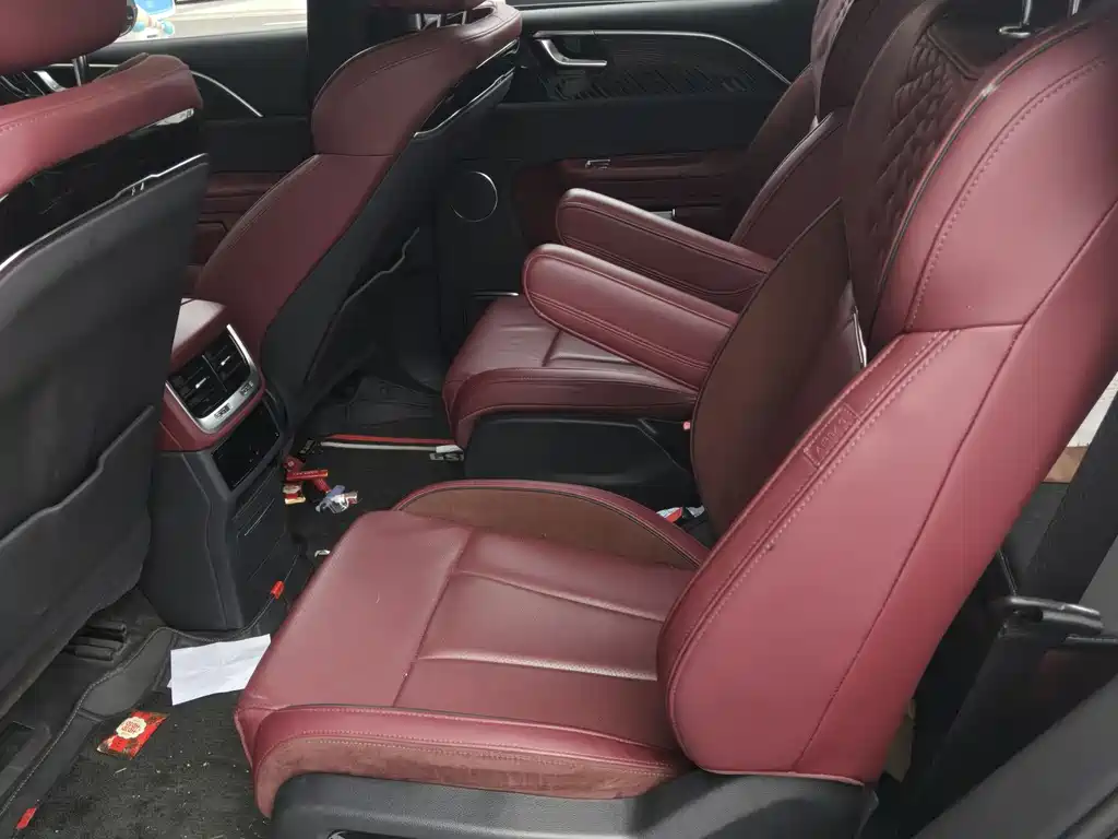 Hongqi E-HS9 2021 460km мест