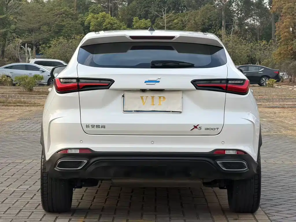 CHANGAN CHANGAN AUCHAN X5