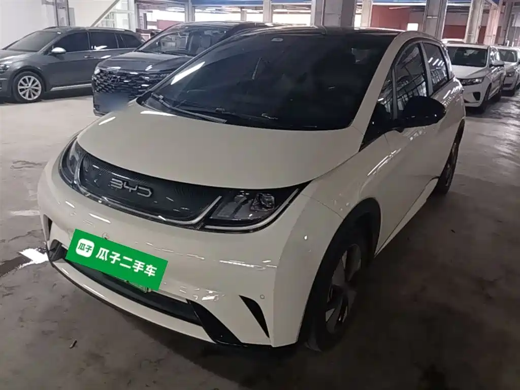 Byd Dolphin 2023