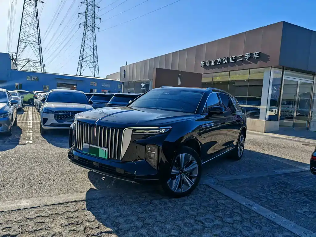 Hongqi HONGQI E HS9