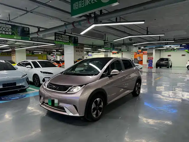 2024 BYD Dolphin