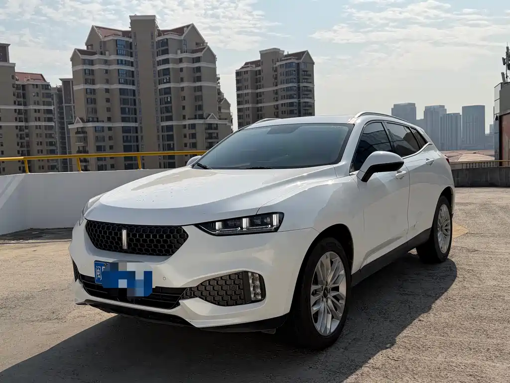 WEI PAI WEI BRAND VV7