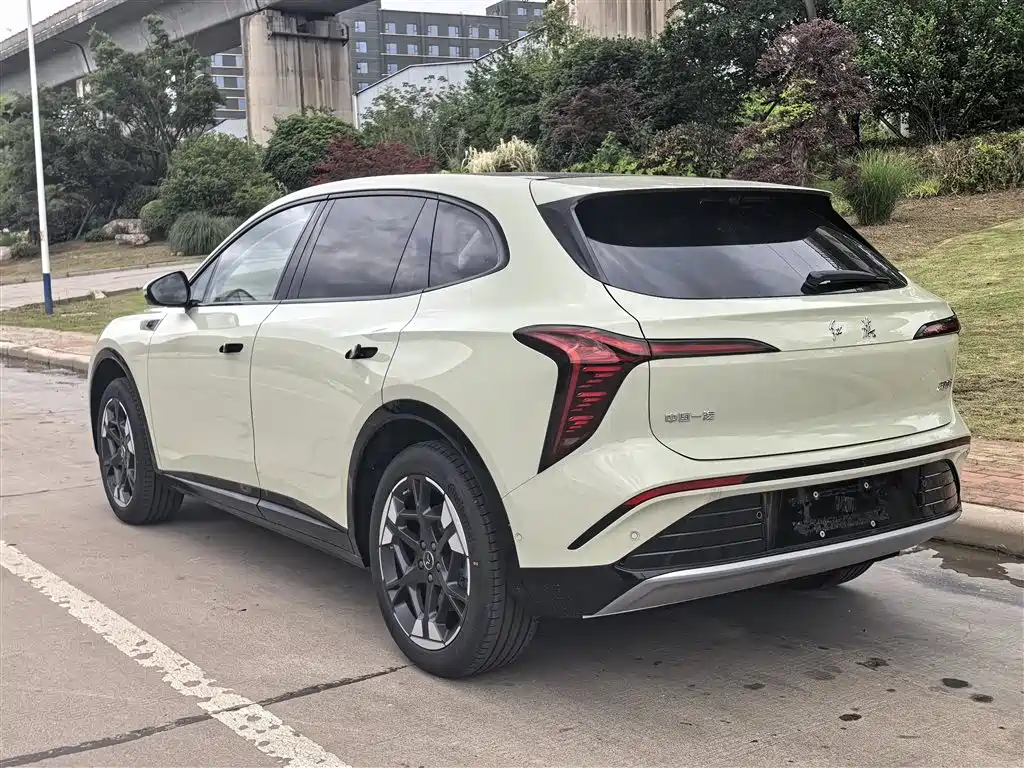 Hongqi 06 2025 520
