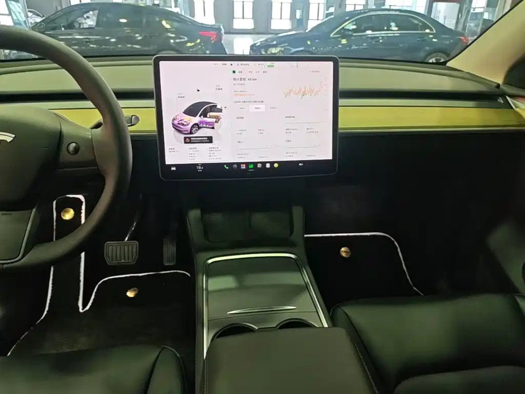 Tesla Model Y — миниатюра 13