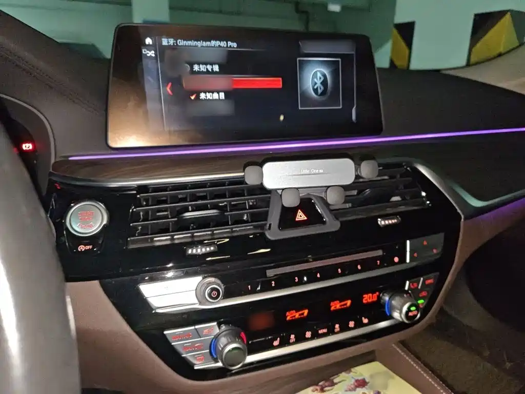 BMW 5 Series 5 2019 530Li Lead Luxury