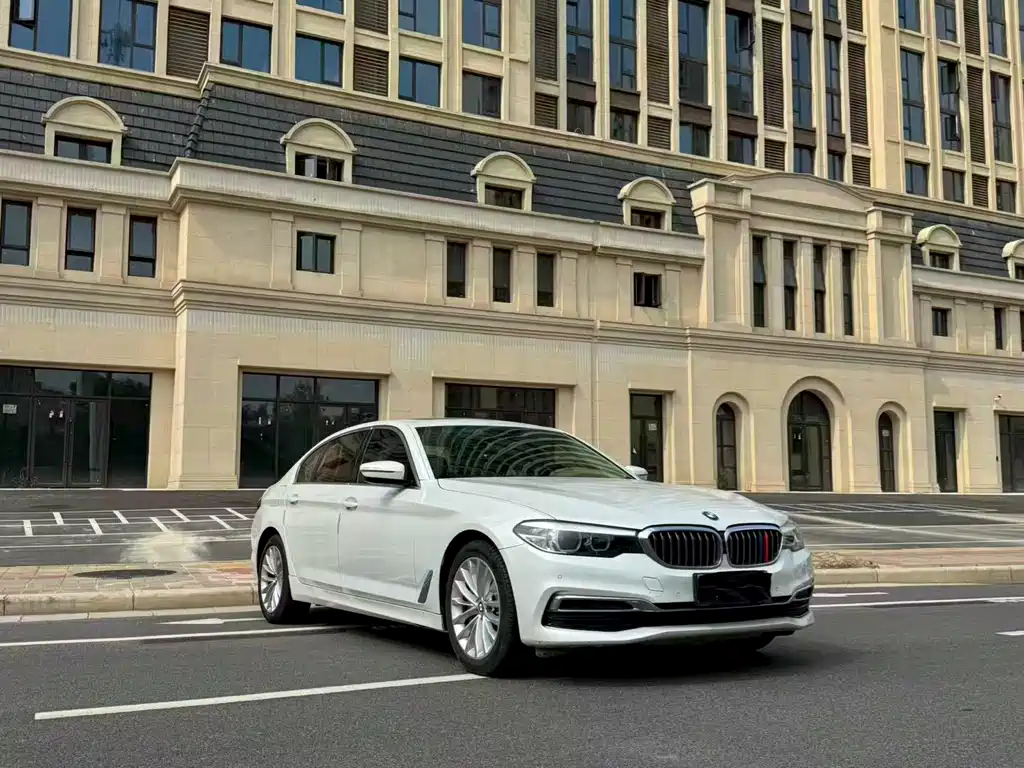 BMW 5 Series 5 2019 530Li Lead Luxury