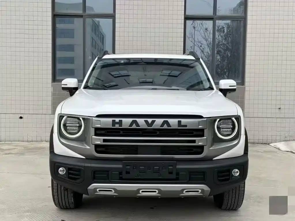 HAVAL BIG DOG