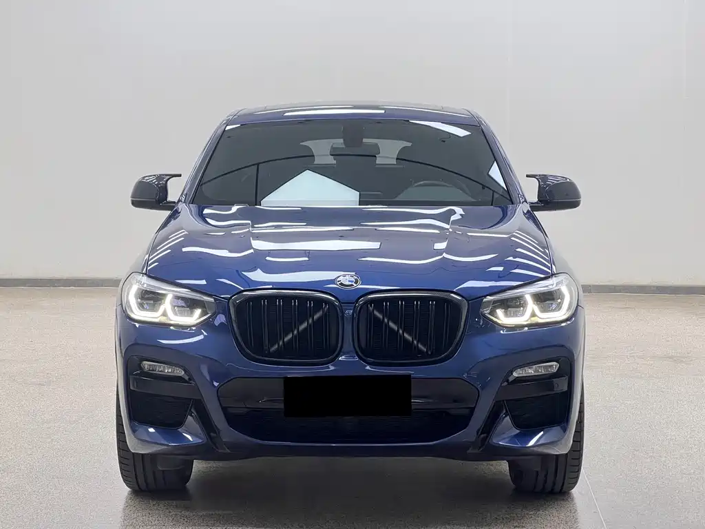 BMW X4 — миниатюра 2