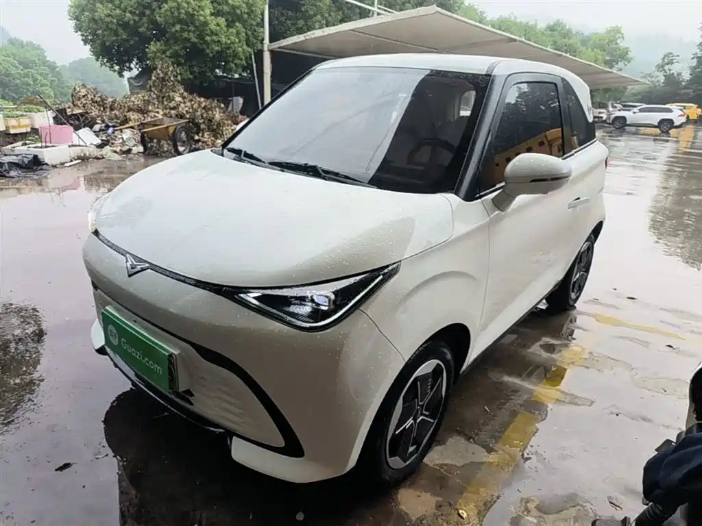 Cowin Shiyue 2024