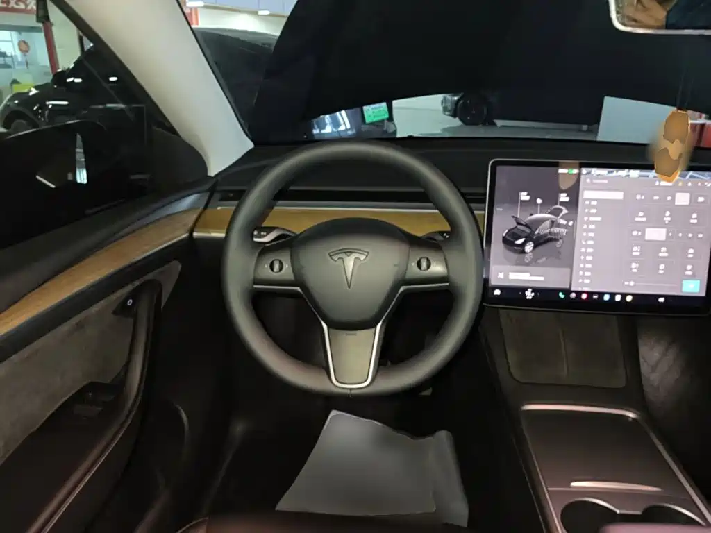 Tesla Model Y — миниатюра 11