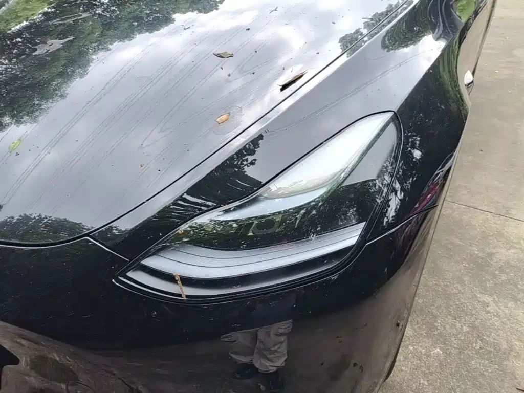 Tesla Model Y — миниатюра 24