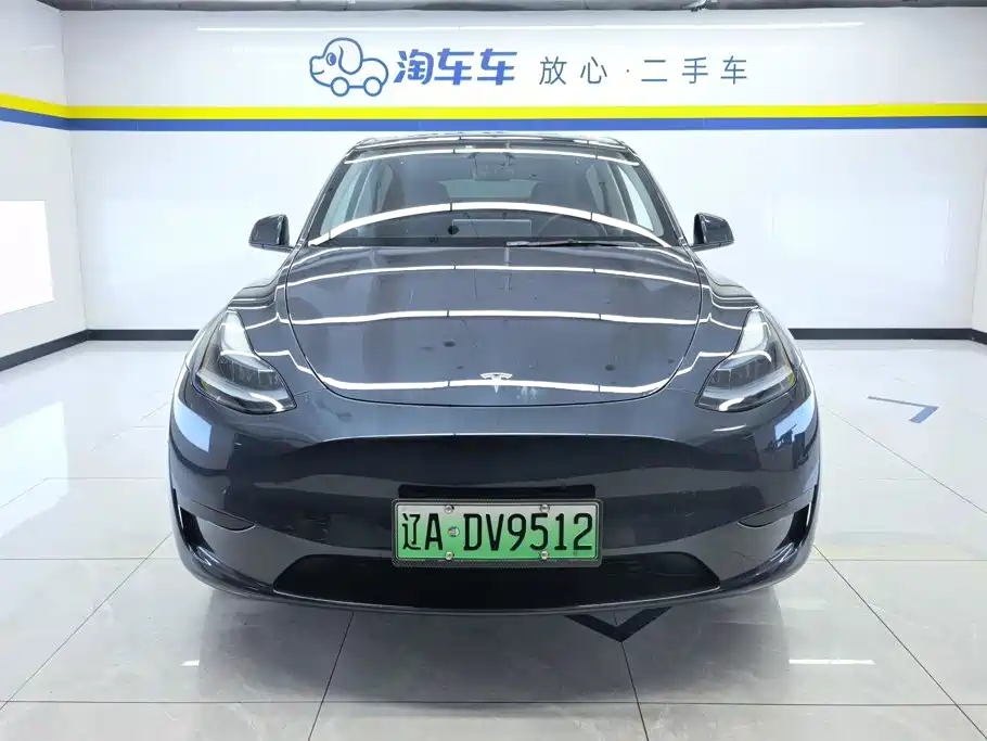 Tesla Model Y — миниатюра 2