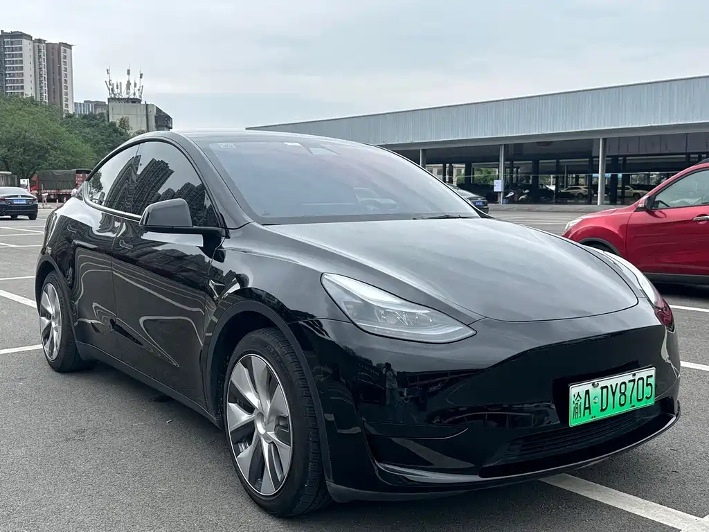 Tesla Model Y — миниатюра 3