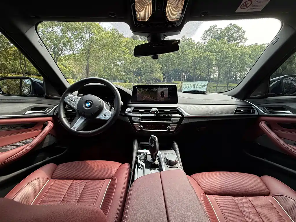 BMW 5 Series — миниатюра 5