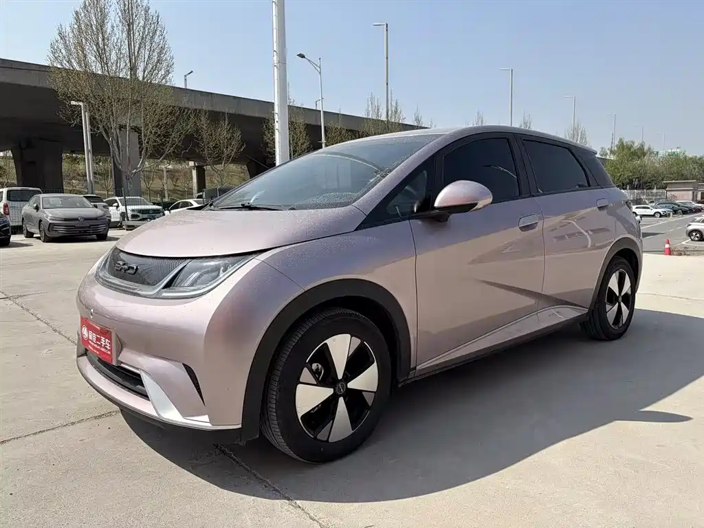 Byd Dolphin 2023